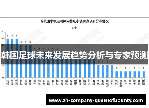 韩国足球未来发展趋势分析与专家预测