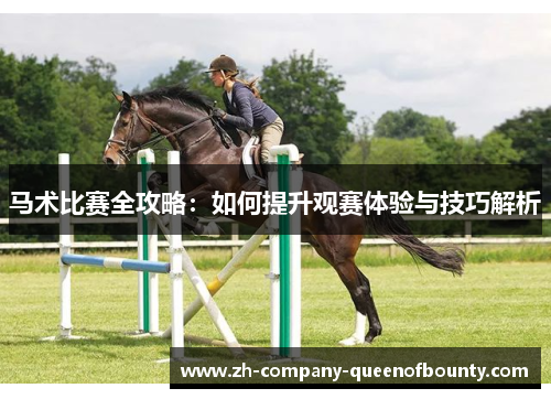 马术比赛全攻略：如何提升观赛体验与技巧解析